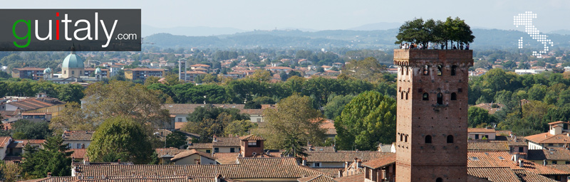 Lucca - Tour Guinigi Tower - Lucques